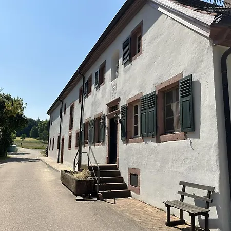 Metzlinschwander Hof Lejlighed