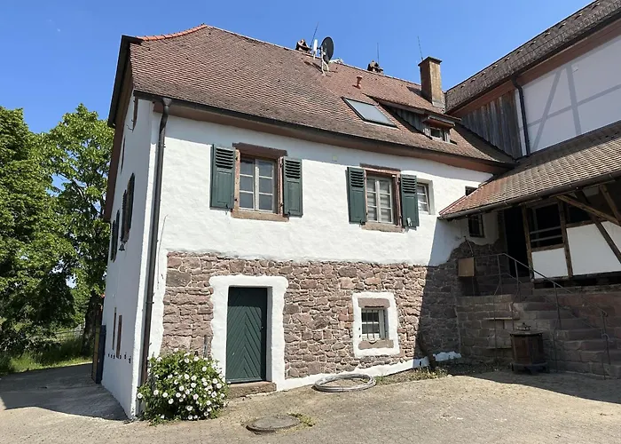 Metzlinschwander Hof Апартаменты