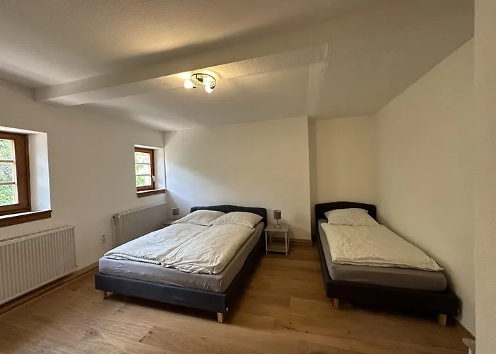 Metzlinschwander Hof Апартаменты *