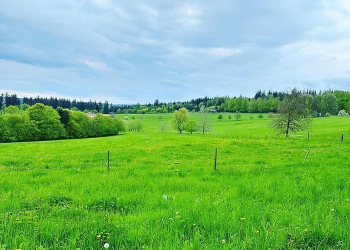 Апартаменты Metzlinschwander Hof *